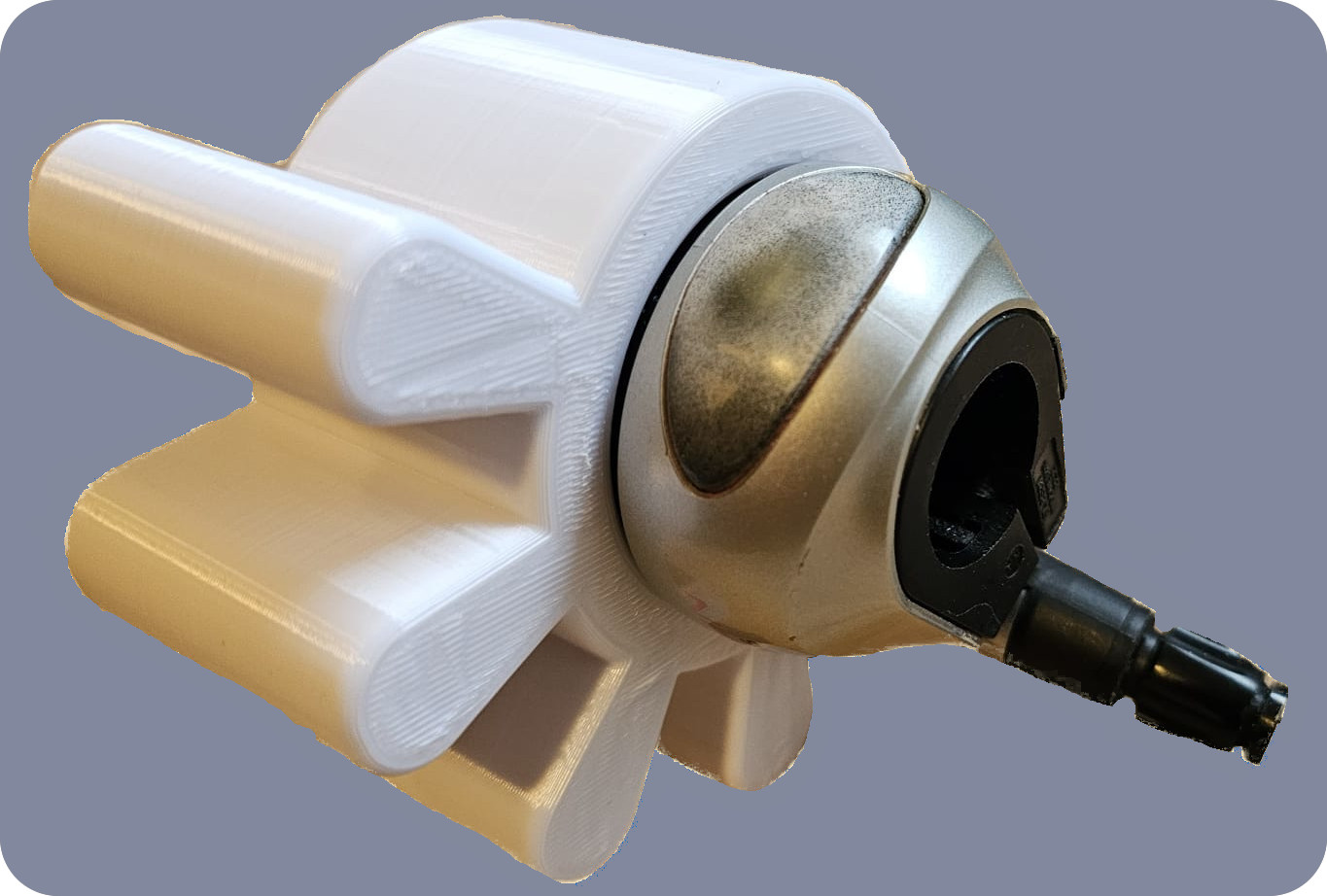 Zanhkranz 1 montiert